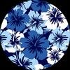 paisley_aloha